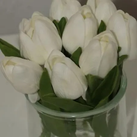 度假居 El Granero 摩亚